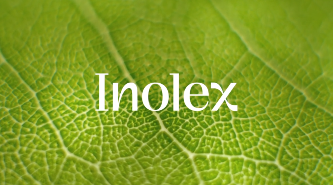 個人護(hù)理品牌 Inolex 品牌形象