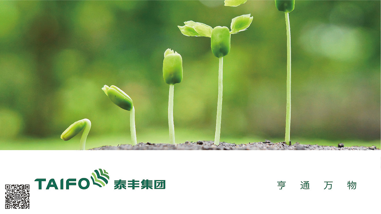 泰豐集團(tuán)品牌形象策劃設(shè)計